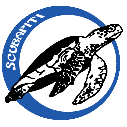 https://tahititourisme.kr/wp-content/uploads/2017/08/logo-scubapiti-bleu.png