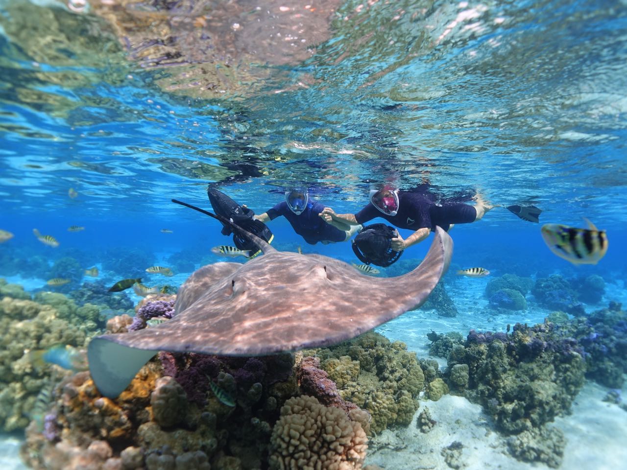 https://tahititourisme.kr/wp-content/uploads/2020/09/Sea-Scooter-Snorkeling-Tour-à-moorea-copie-2.jpg