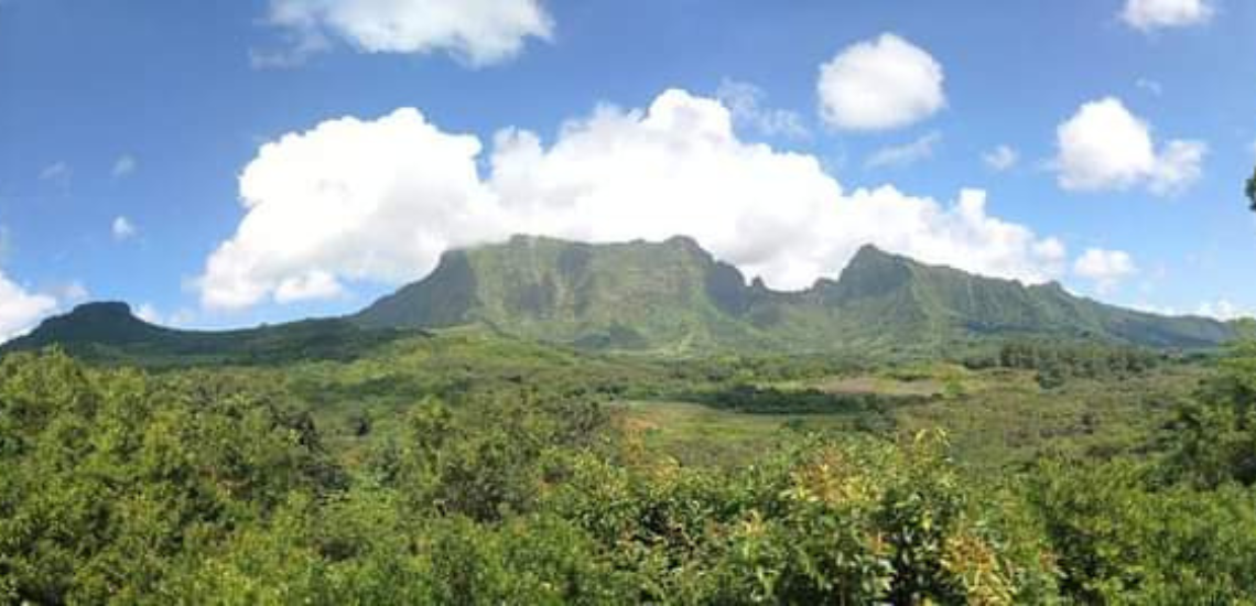 https://tahititourisme.kr/wp-content/uploads/2023/02/SmileWithWilly_photocouverture_1140x550px.png