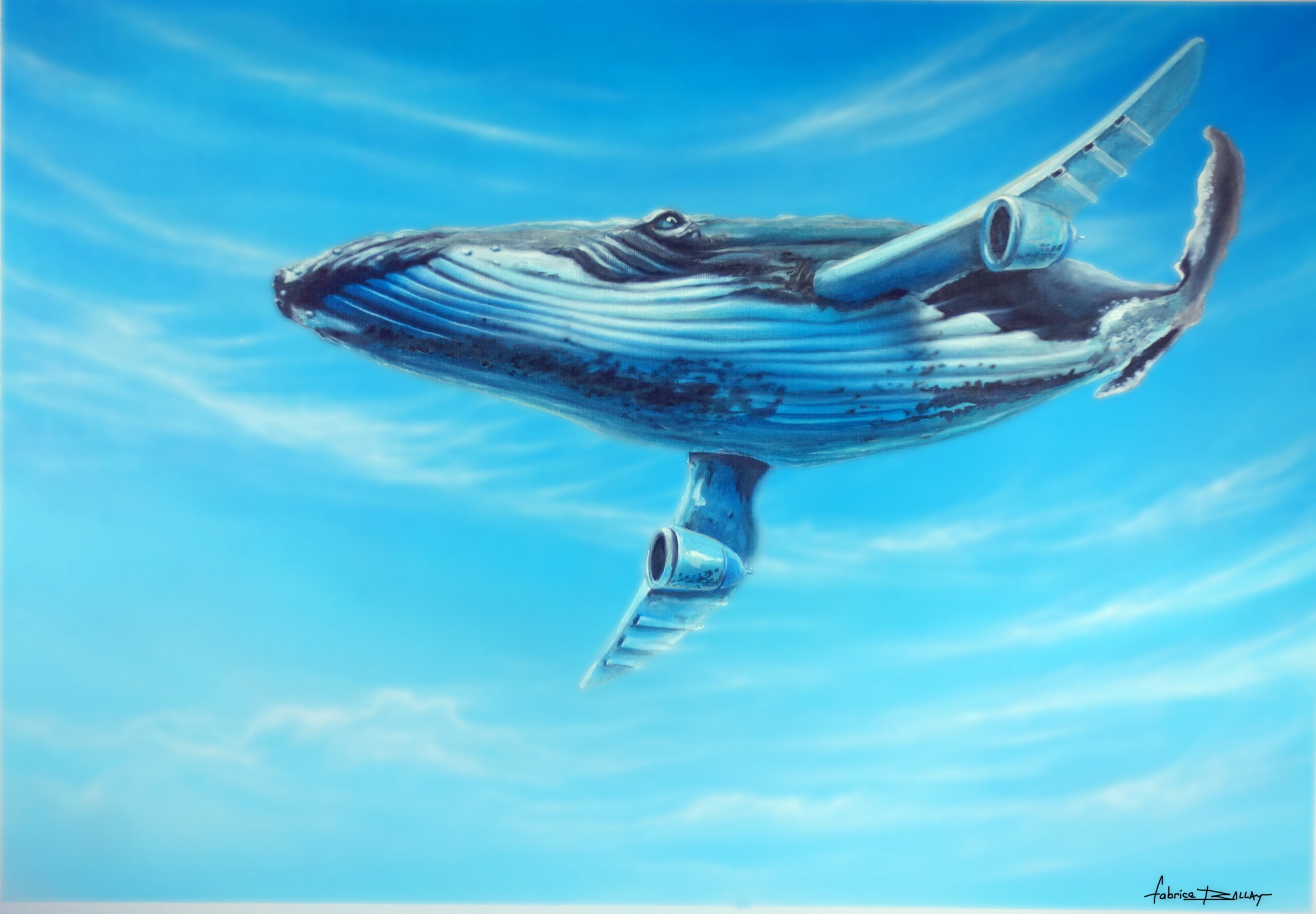 https://tahititourisme.kr/wp-content/uploads/2024/02/baleine_volante-min-scaled.jpg